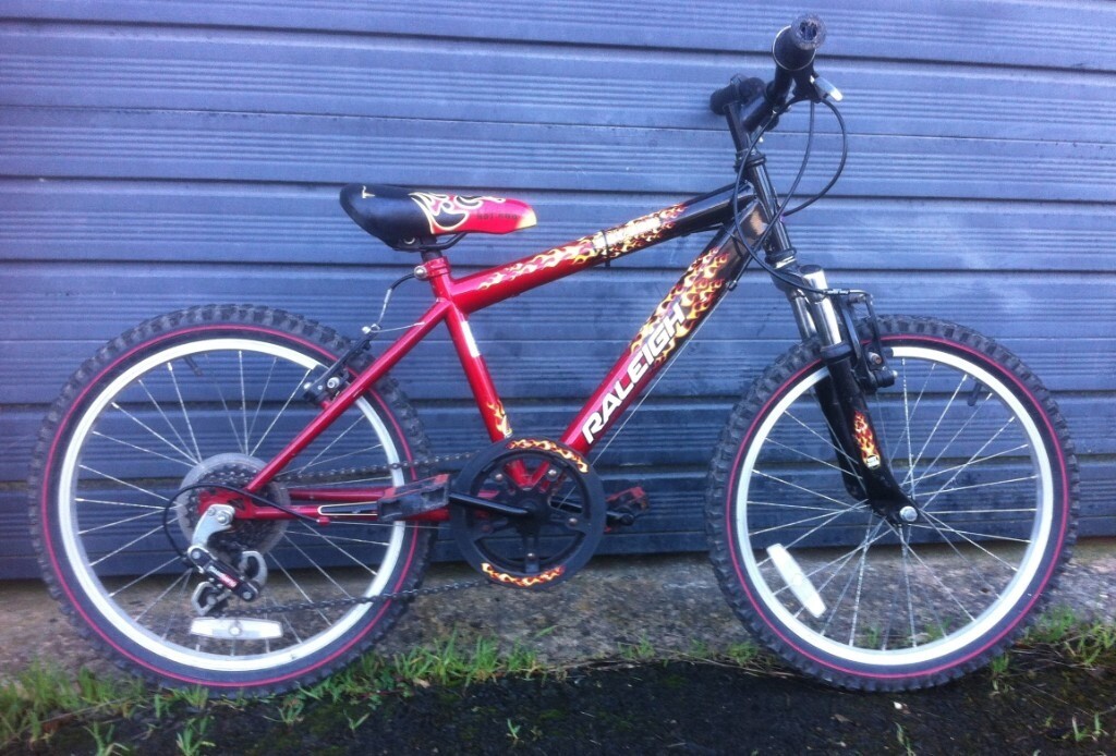 raleigh 20 inch mountain bike